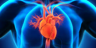 Heart Disease Prediction